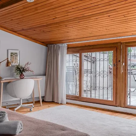Detached Triplex With Garden Terrace * Istanbul