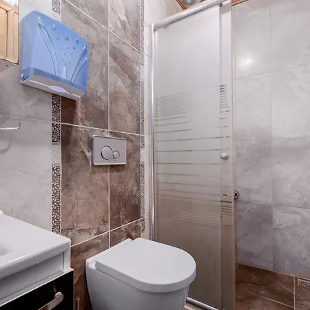 Detached Triplex With Garden Terrace * Istanbulská provincie